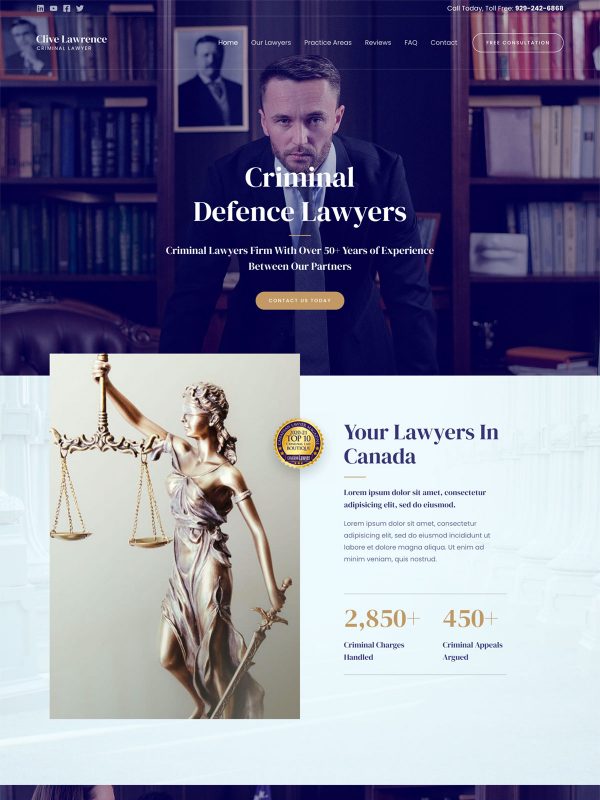 Criminal Lawyer